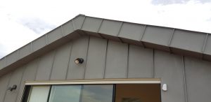 20181127_102754 (Medium)